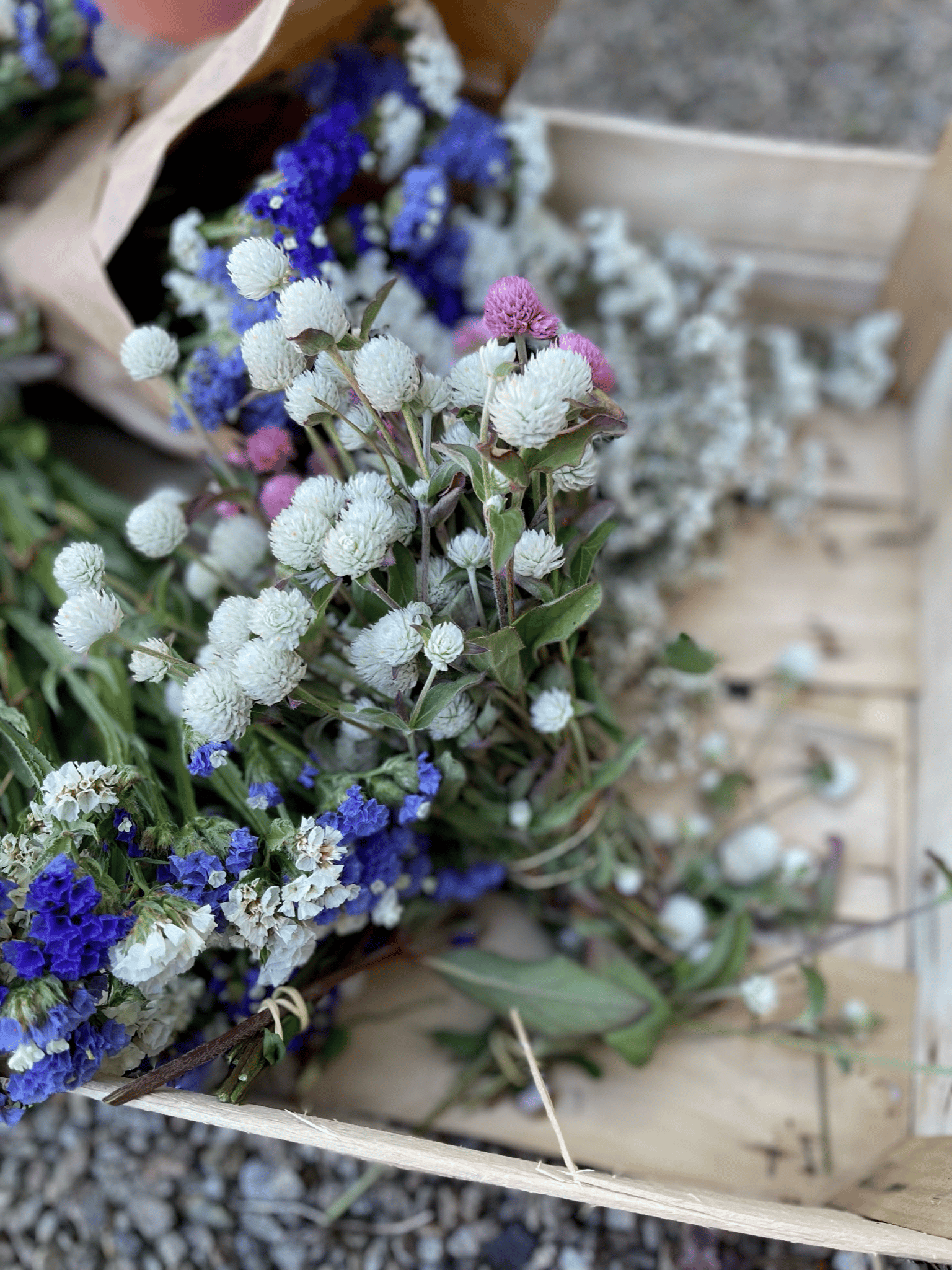 Des bottes de fleurs séchées blanches et bleues